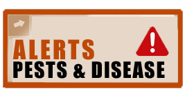 Pest & Disease Alerts