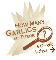 How Many Garlics Are There?